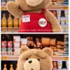 Ted2-ted Aksiyon Peluş Figürü