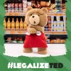 Ted2-ted Aksiyon Peluş Figürü